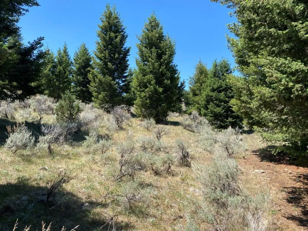 Tbd Camp Creek Road Butte MT 59701