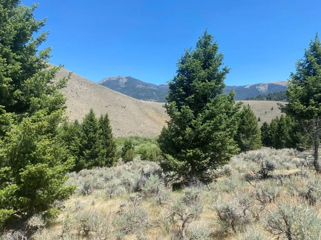 Tbd Camp Creek Road Butte MT 59701