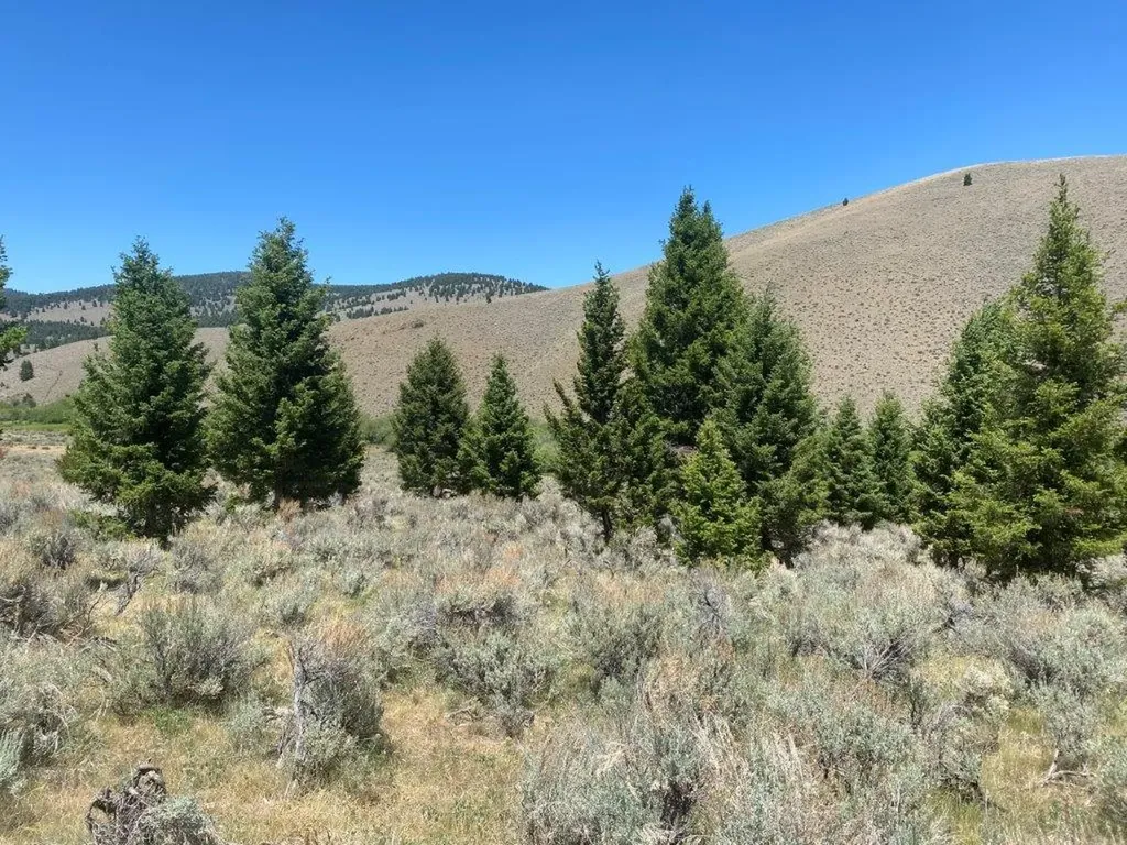 Tbd Camp Creek Road Butte MT 59701