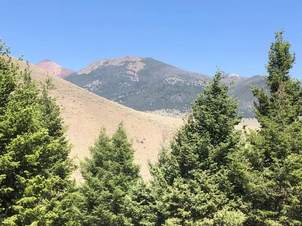 Tbd Camp Creek Road Butte MT 59701