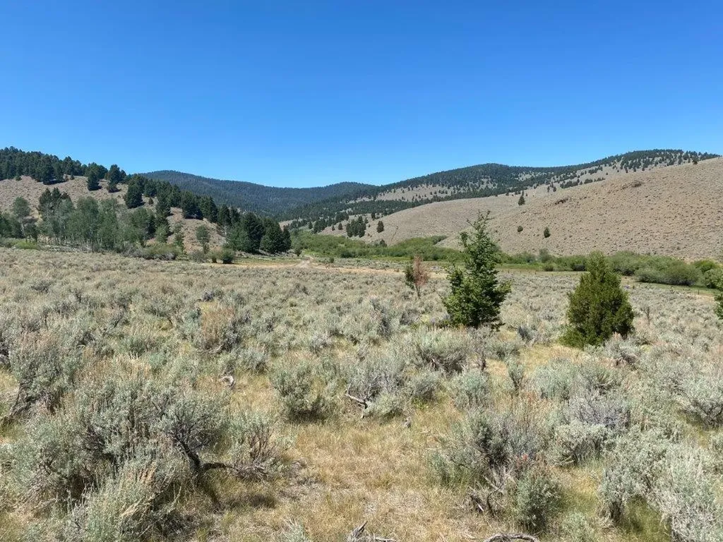 Tbd Camp Creek Road Butte MT 59701