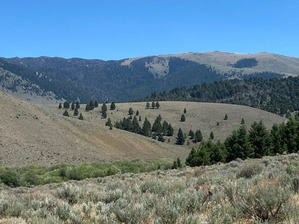 Tbd Camp Creek Road Butte MT 59701