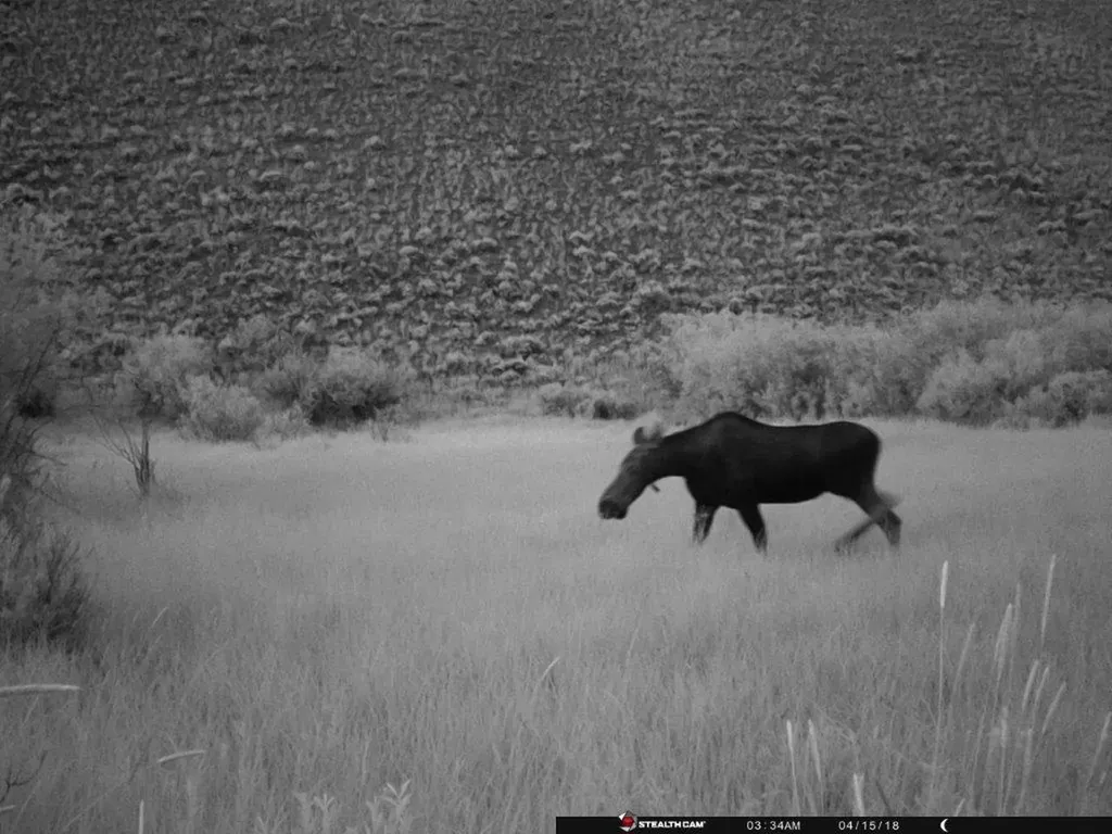 Tbd Camp Creek Road Butte MT 59701