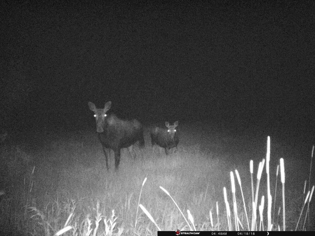 Tbd Camp Creek Road Butte MT 59701