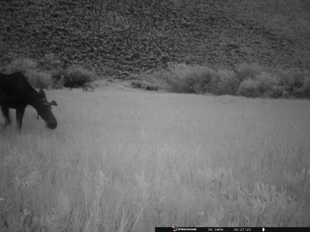 Tbd Camp Creek Road Butte MT 59701