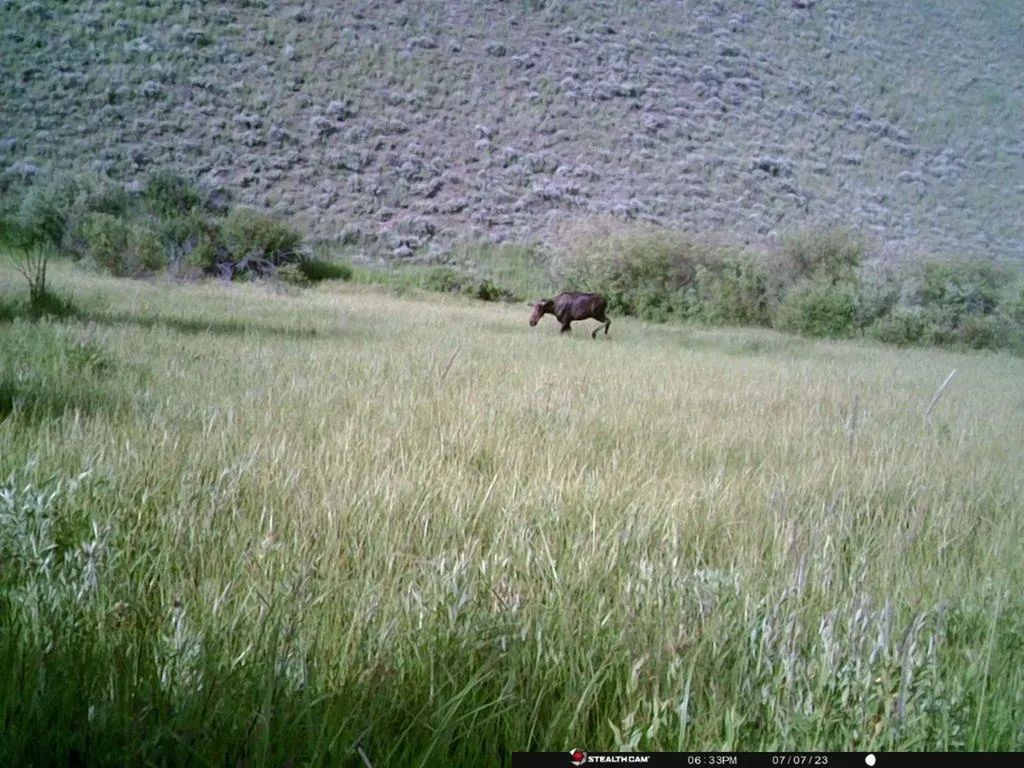 Tbd Camp Creek Road Butte MT 59701