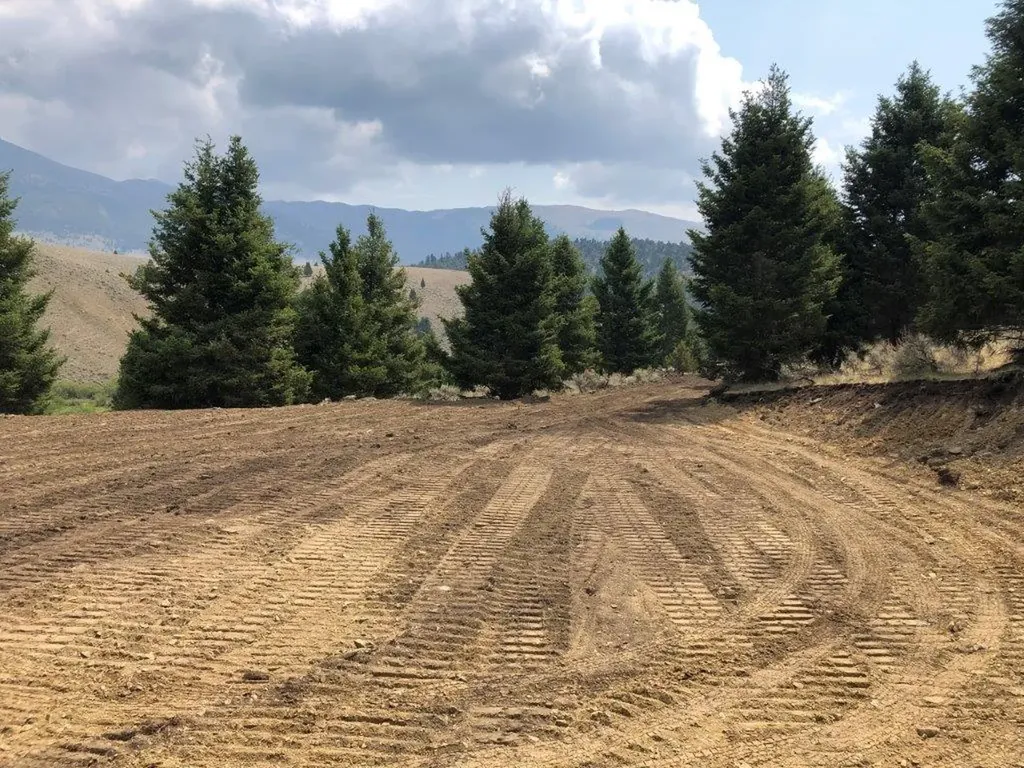 Tbd Camp Creek Road Butte MT 59701