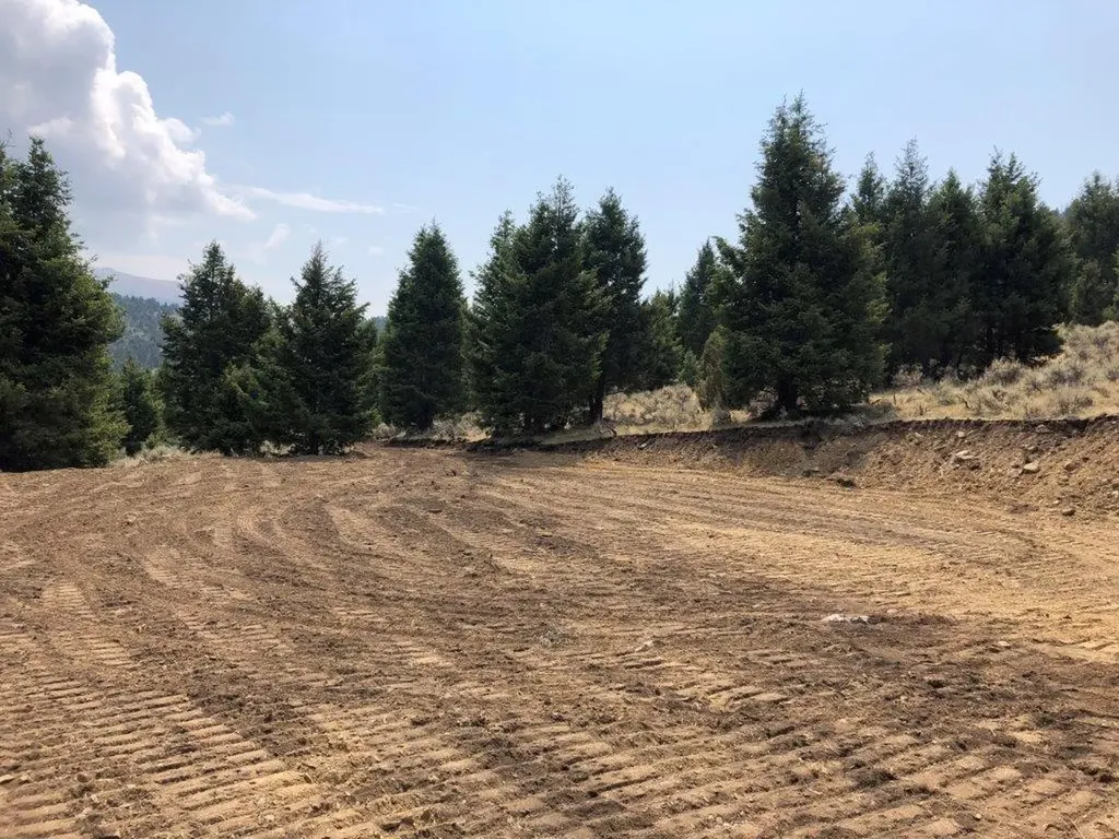 Tbd Camp Creek Road Butte MT 59701