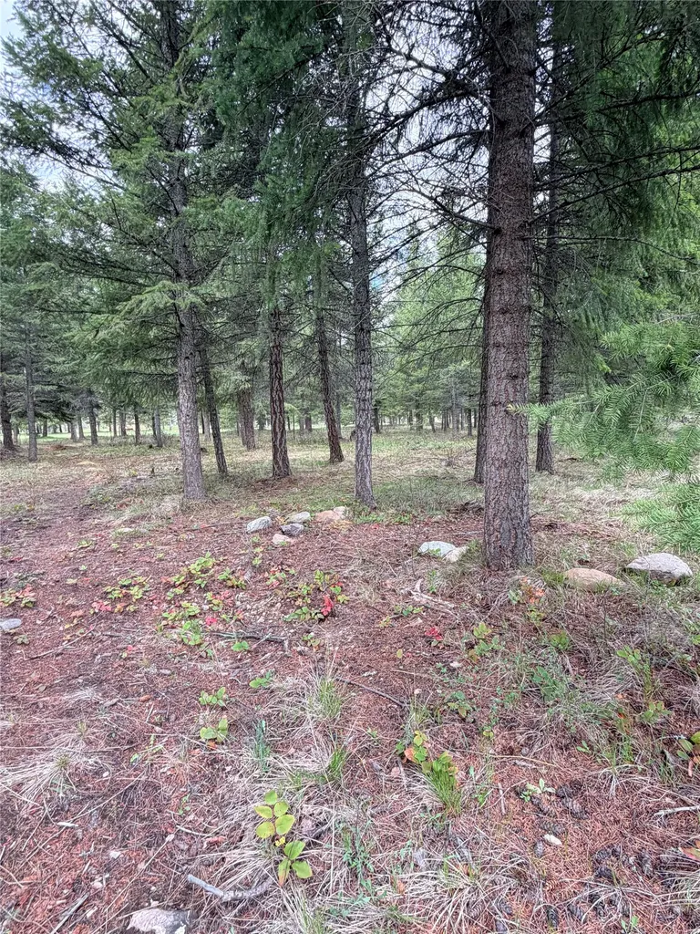 Lot 3 Fairview Drive St Regis MT 59866