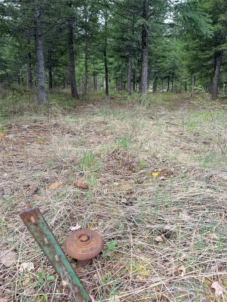 Lot 3 Fairview Drive St Regis MT 59866