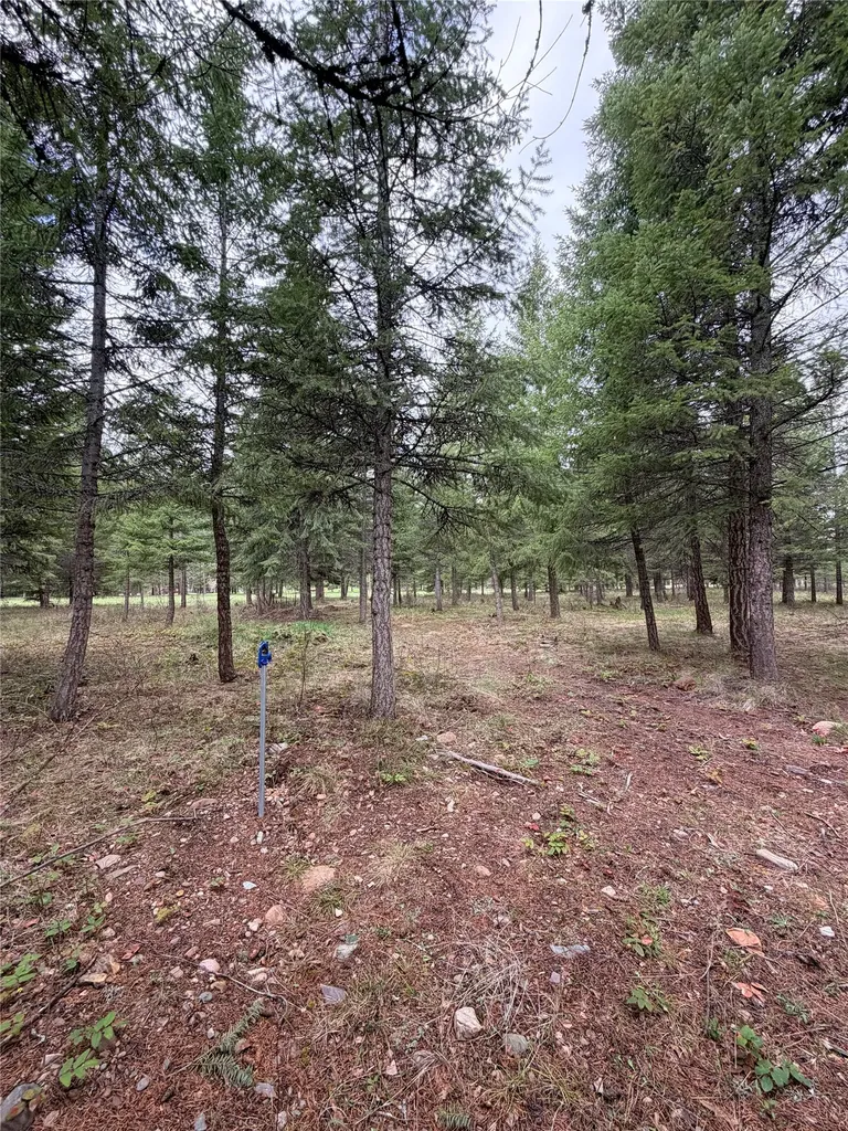 Lot 3 Fairview Drive St Regis MT 59866