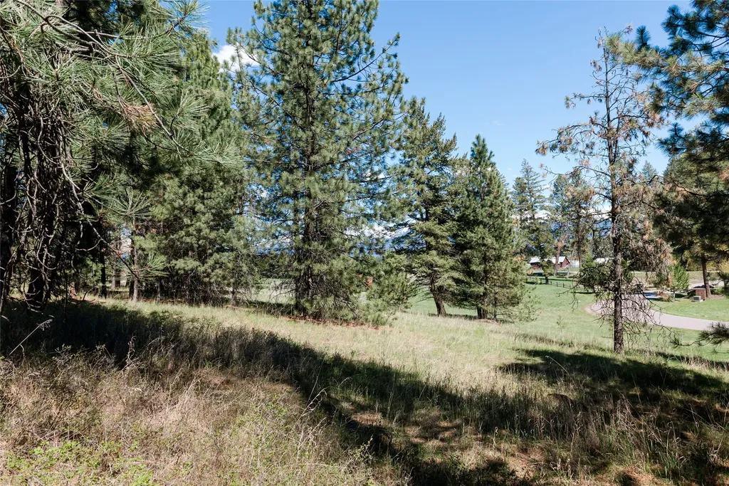 37 Red Tail Ridge Bigfork MT 59911