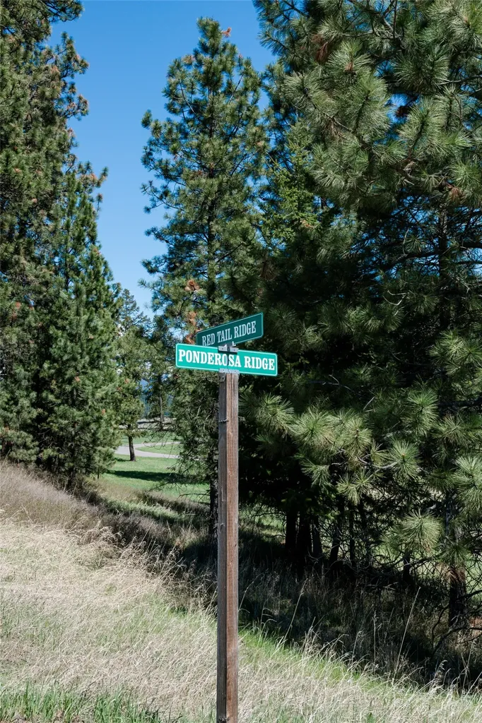37 Red Tail Ridge Bigfork MT 59911