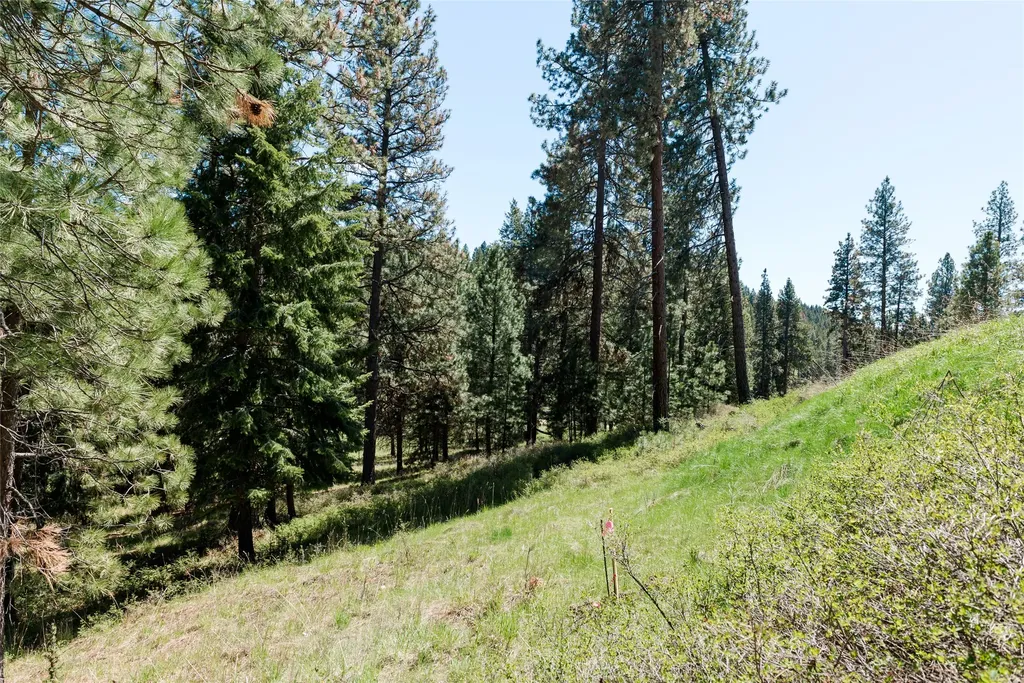 37 Red Tail Ridge Bigfork MT 59911