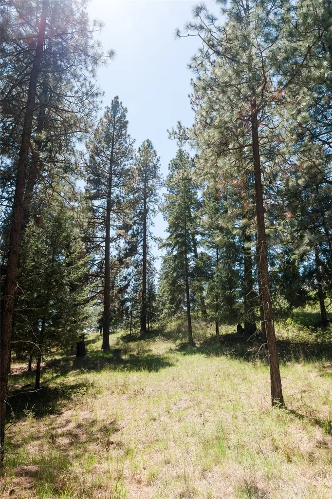 37 Red Tail Ridge Bigfork MT 59911