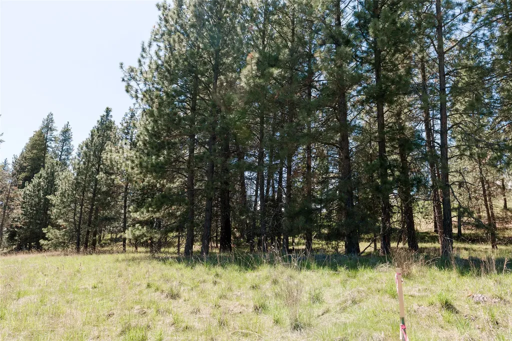 37 Red Tail Ridge Bigfork MT 59911