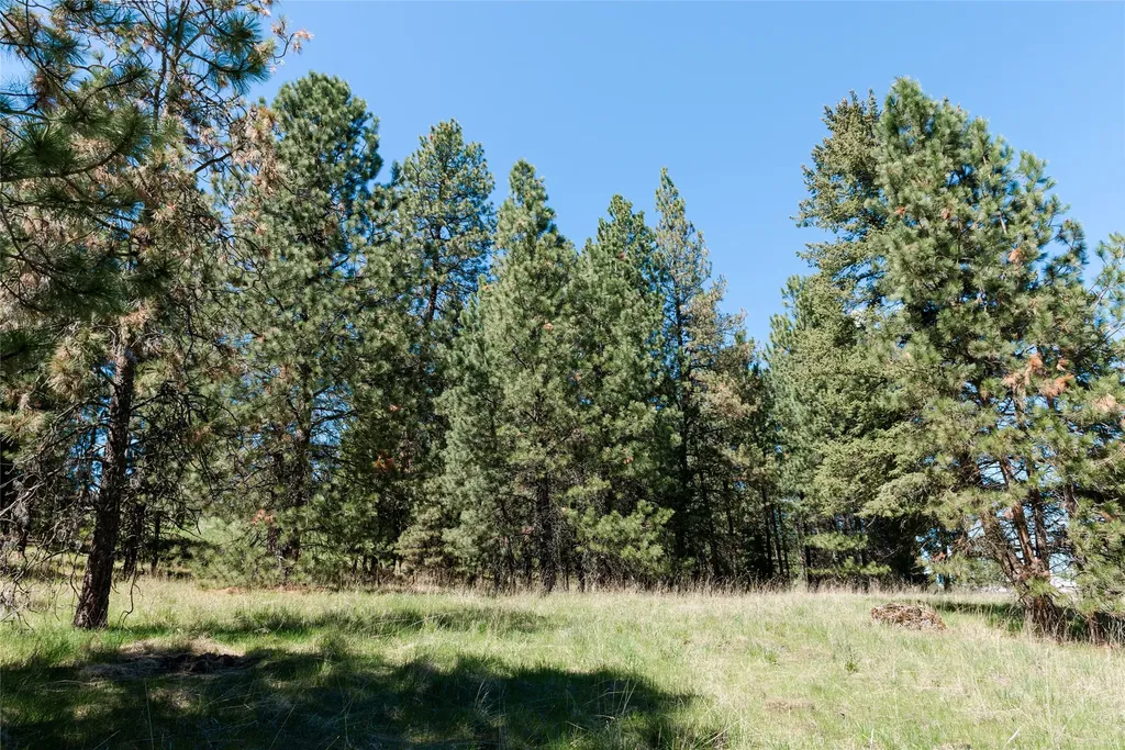 37 Red Tail Ridge Bigfork MT 59911