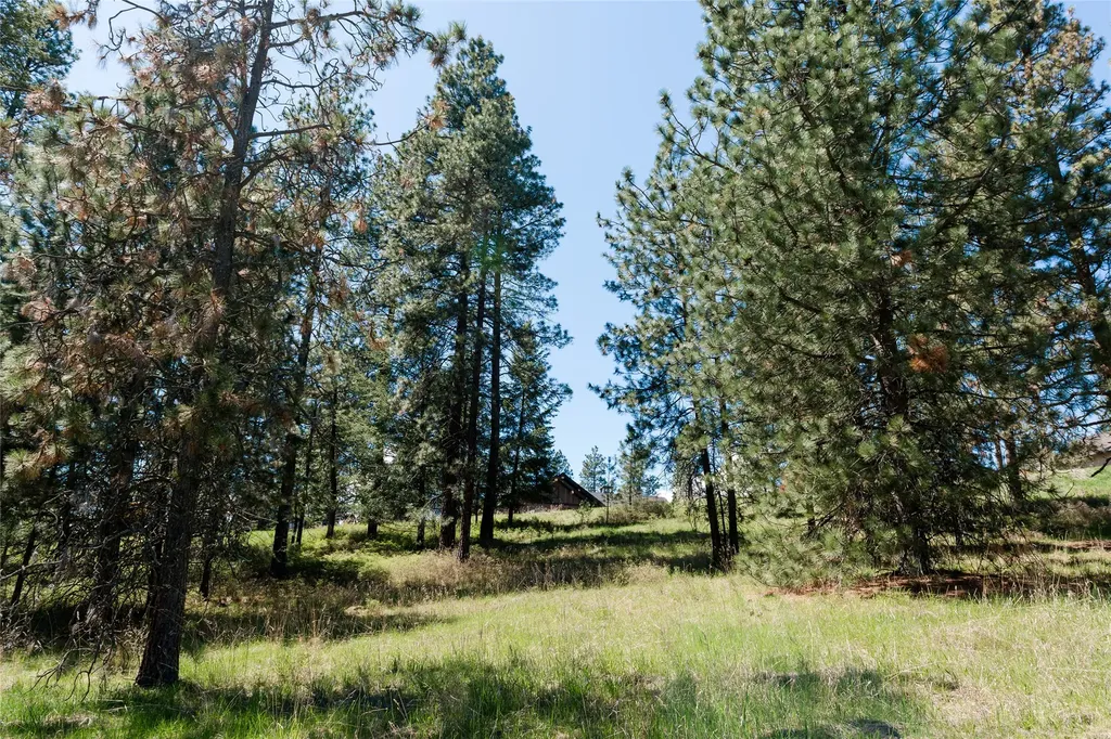 37 Red Tail Ridge Bigfork MT 59911