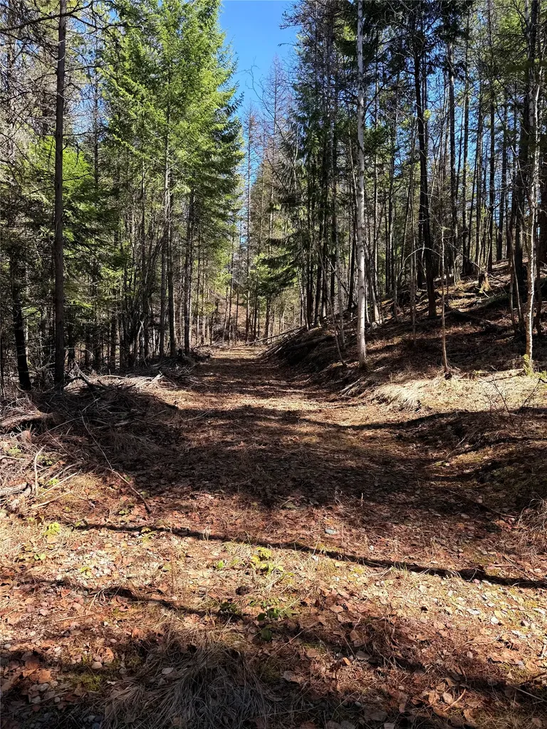 650 Northwoods Drive Whitefish MT 59937