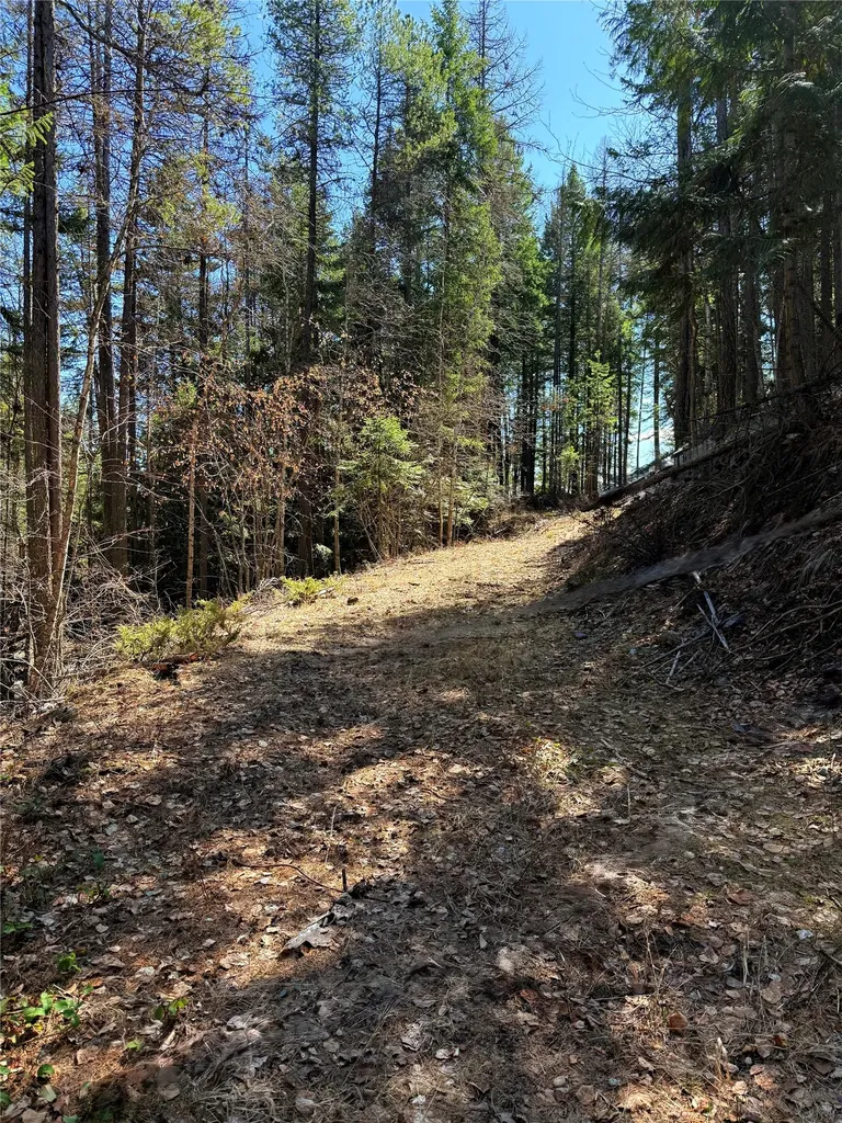 650 Northwoods Drive Whitefish MT 59937