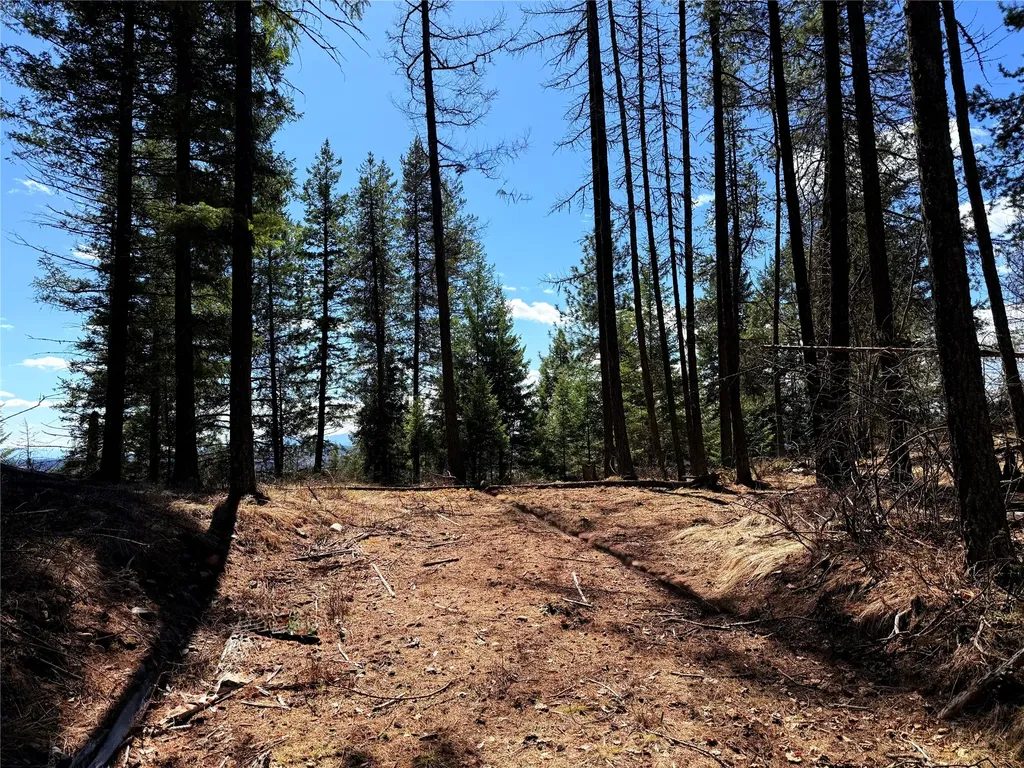 650 Northwoods Drive Whitefish MT 59937