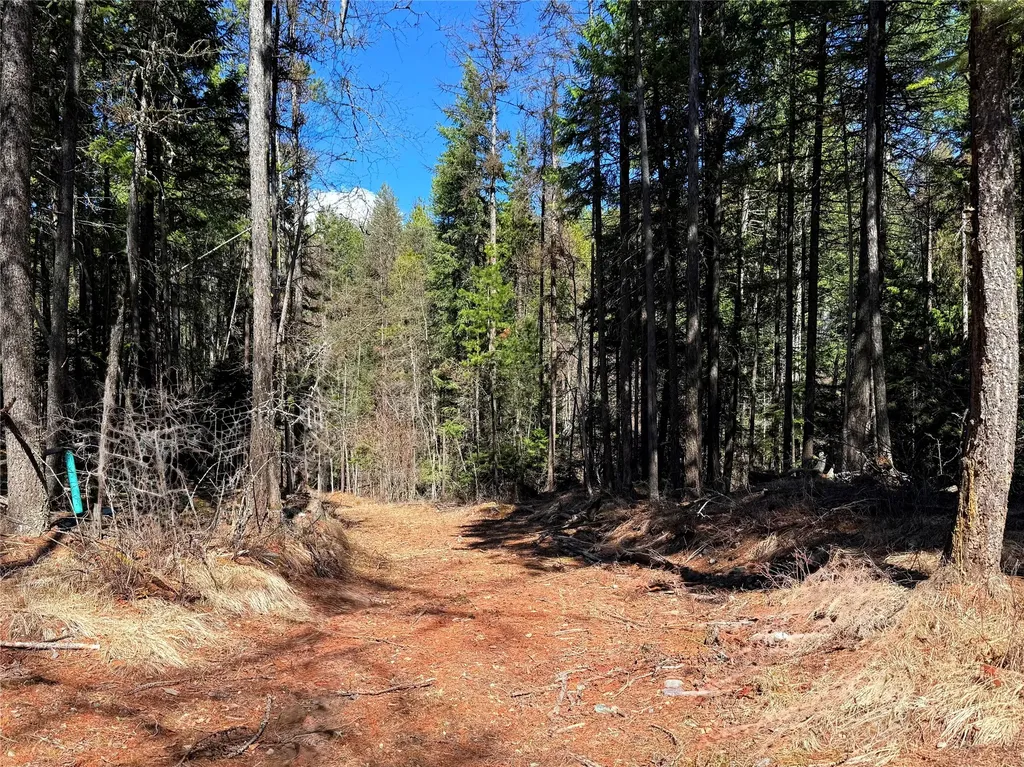 650 Northwoods Drive Whitefish MT 59937