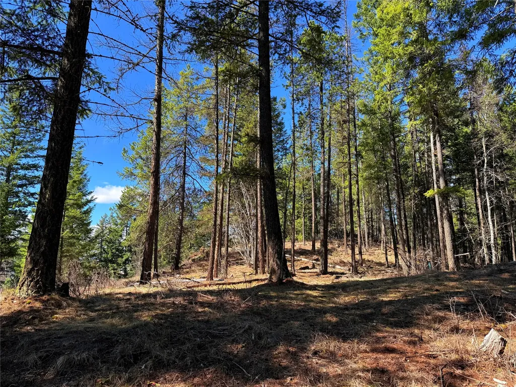 650 Northwoods Drive Whitefish MT 59937