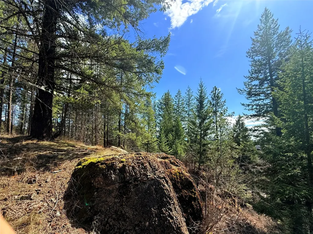 650 Northwoods Drive Whitefish MT 59937