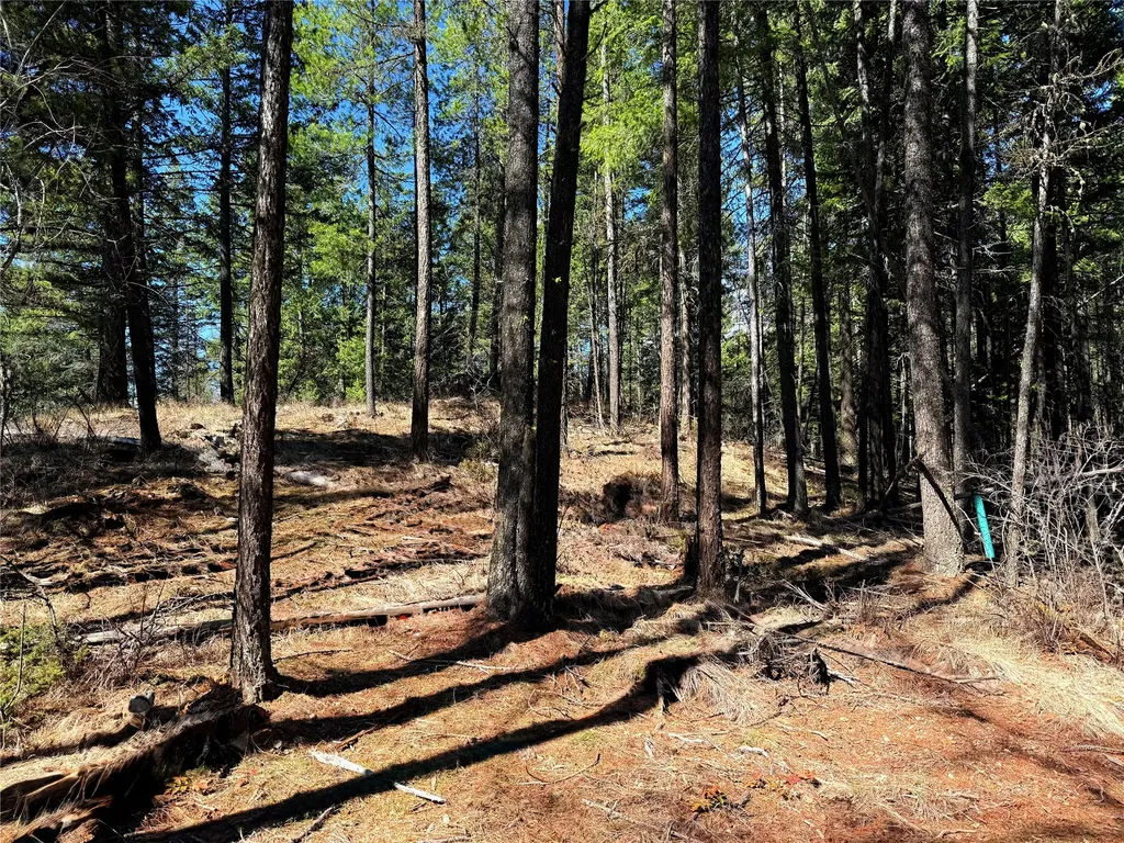 650 Northwoods Drive Whitefish MT 59937
