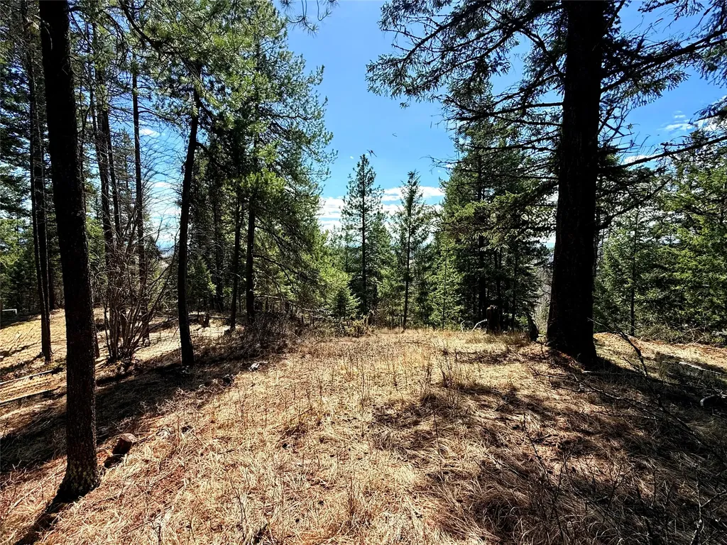650 Northwoods Drive Whitefish MT 59937