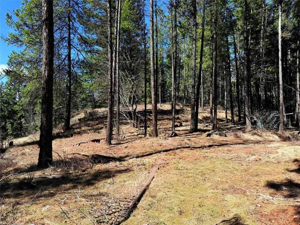 650 Northwoods Drive Whitefish MT 59937