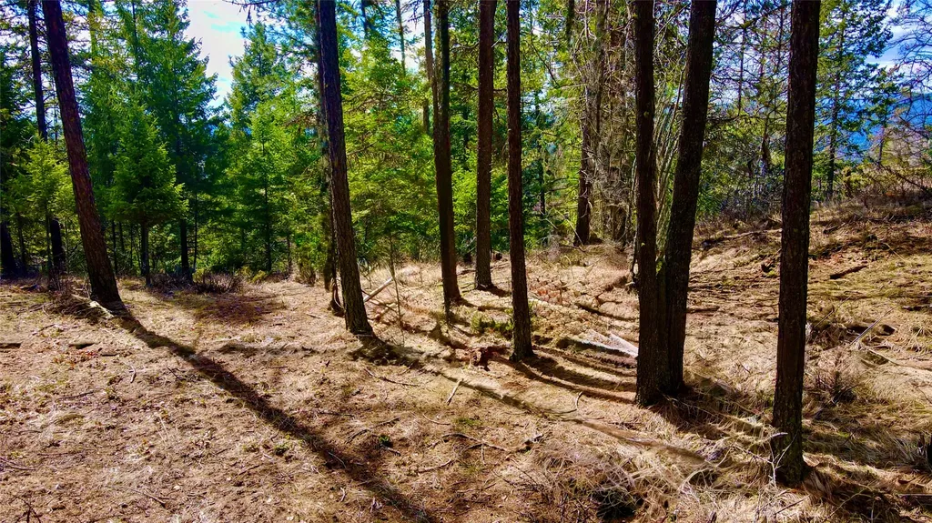 650 Northwoods Drive Whitefish MT 59937