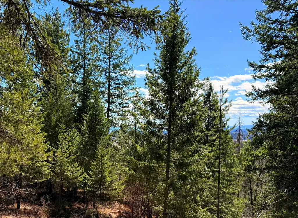 650 Northwoods Drive Whitefish MT 59937