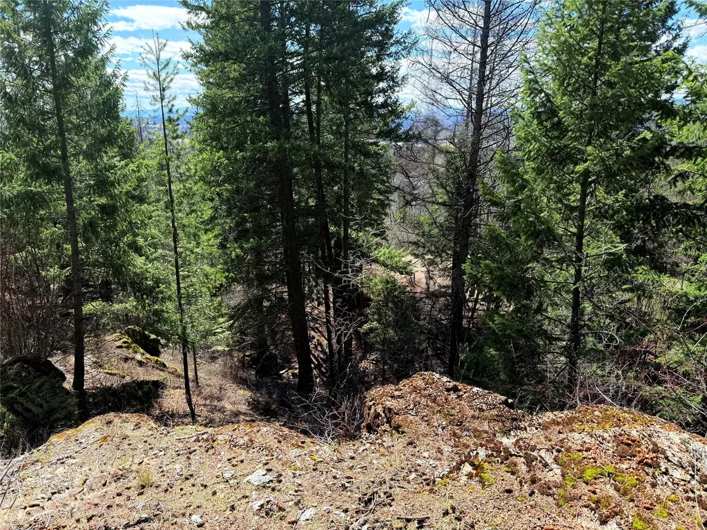 650 Northwoods Drive Whitefish MT 59937
