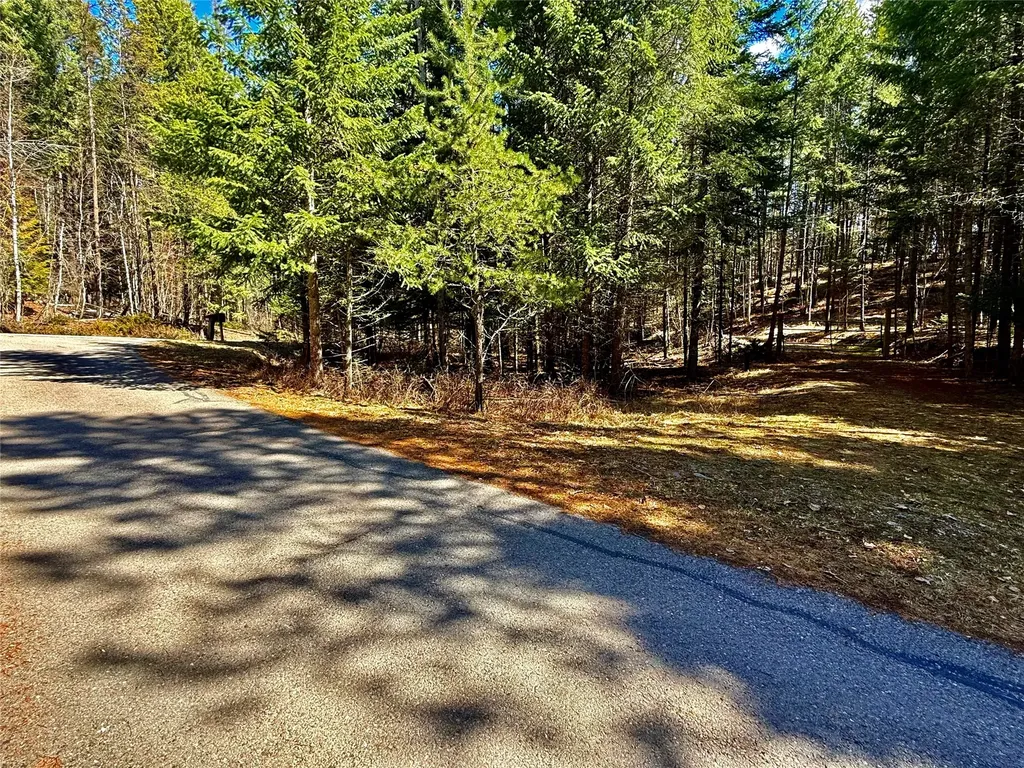 650 Northwoods Drive Whitefish MT 59937