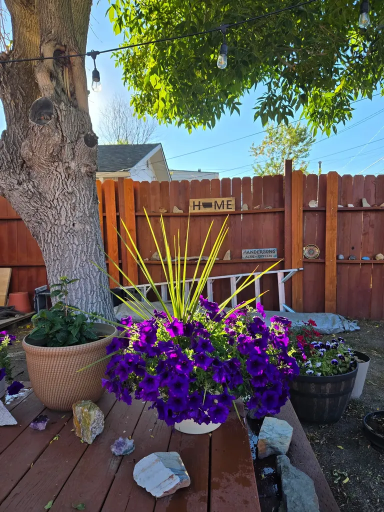 2815 Harvard Avenue Butte MT 59701