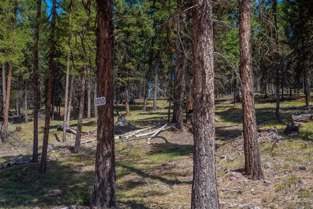 1050 Grandview Drive Seeley Lake MT 59868