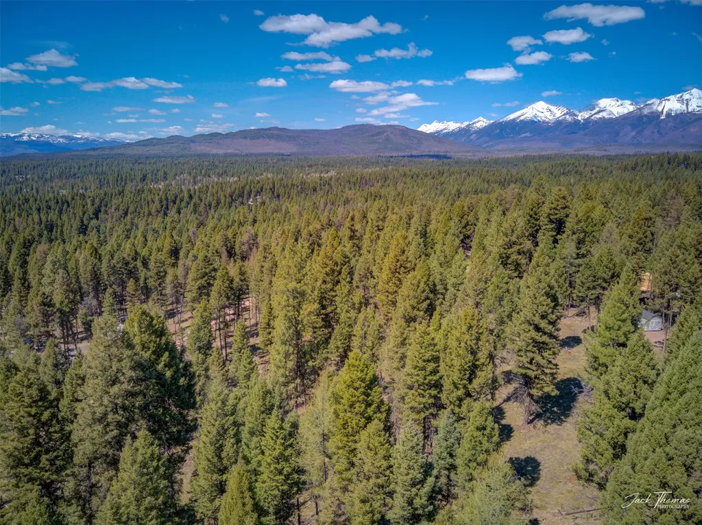 1050 Grandview Drive Seeley Lake MT 59868