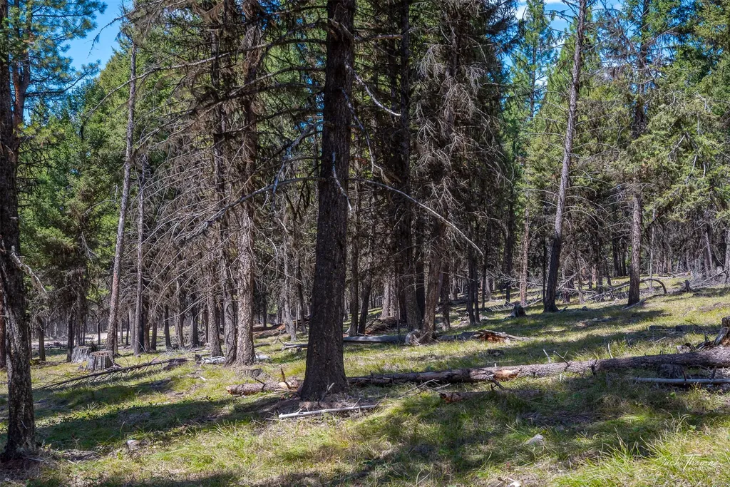 1050 Grandview Drive Seeley Lake MT 59868