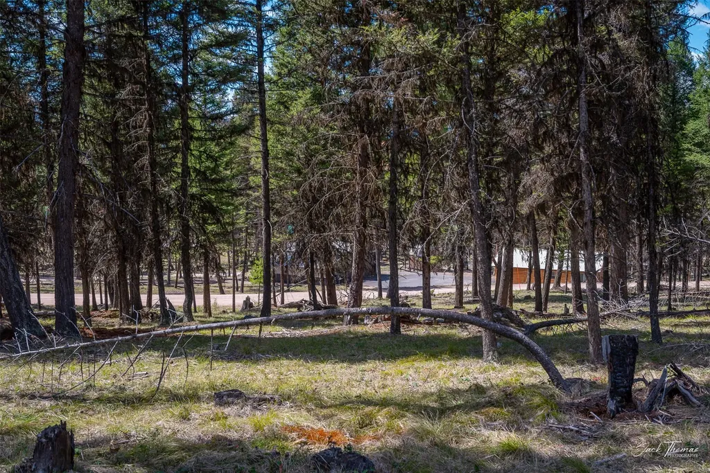 1050 Grandview Drive Seeley Lake MT 59868