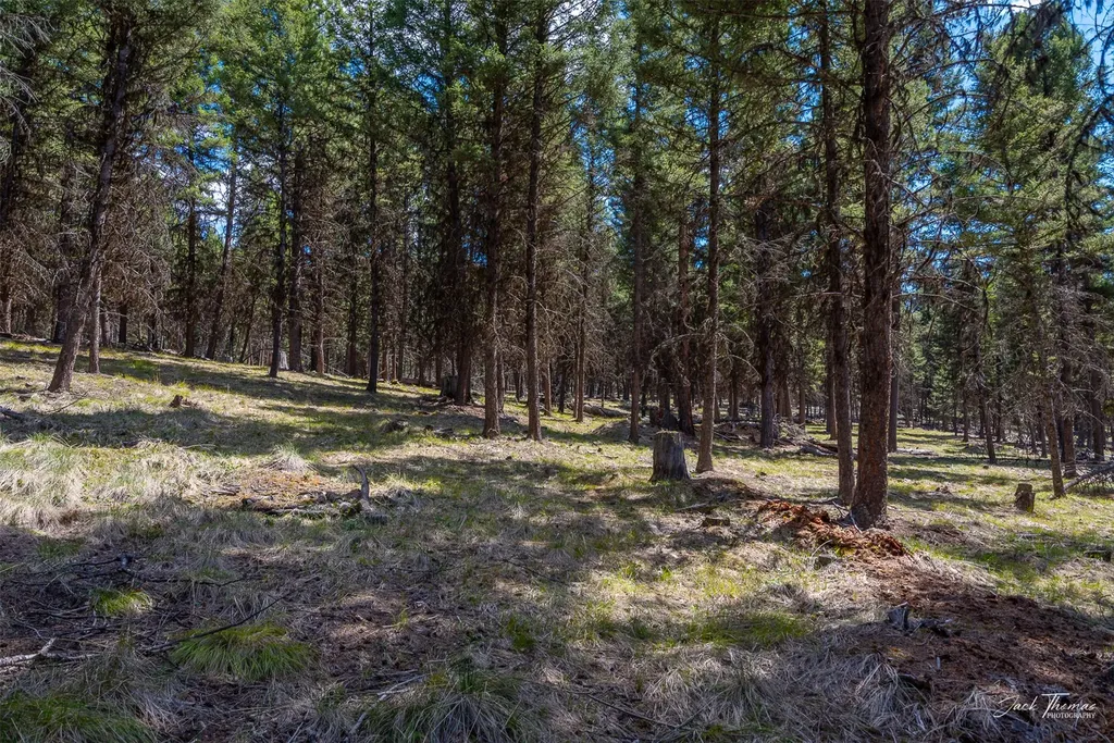 1050 Grandview Drive Seeley Lake MT 59868