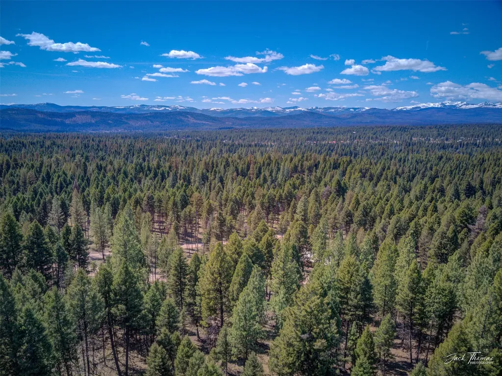 1050 Grandview Drive Seeley Lake MT 59868