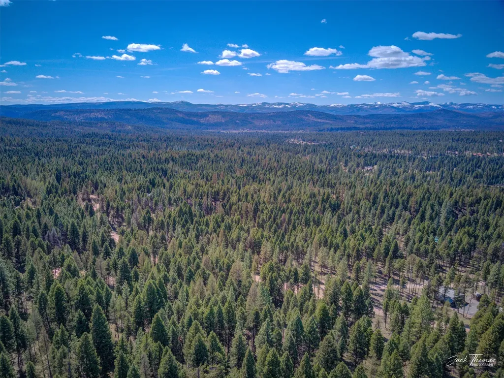1050 Grandview Drive Seeley Lake MT 59868