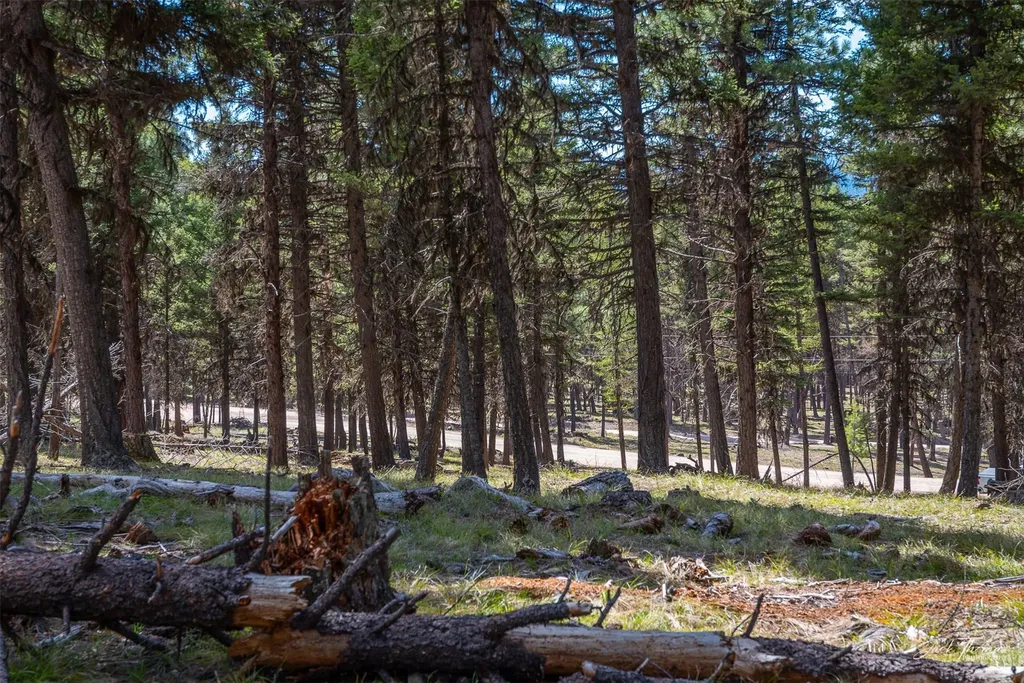 1050 Grandview Drive Seeley Lake MT 59868