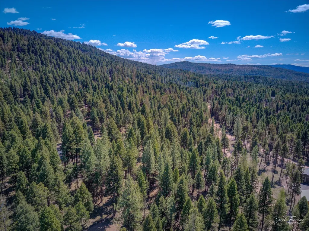 1050 Grandview Drive Seeley Lake MT 59868