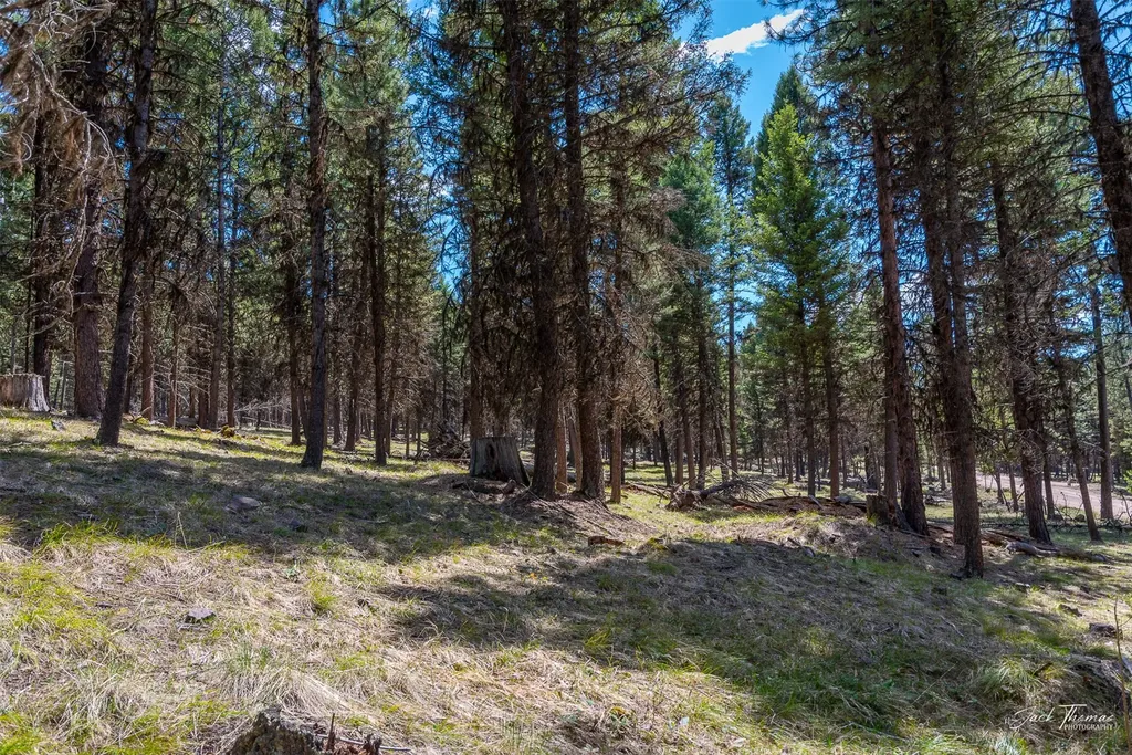 1050 Grandview Drive Seeley Lake MT 59868