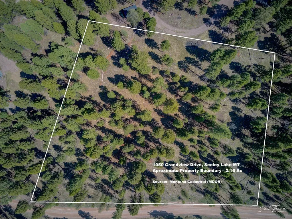 1050 Grandview Drive Seeley Lake MT 59868
