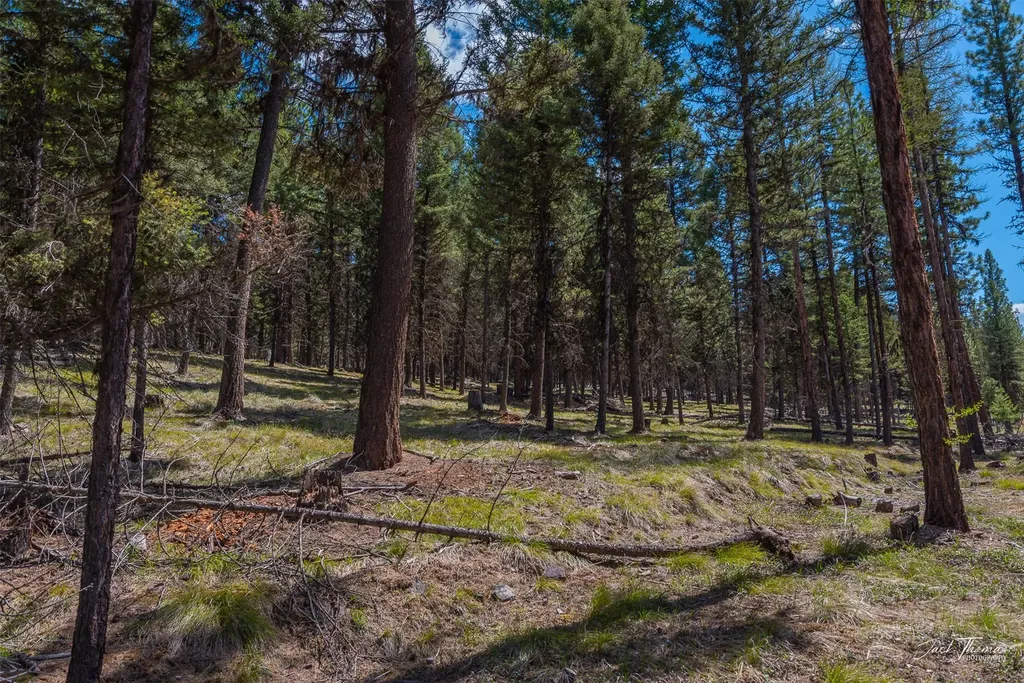 1050 Grandview Drive Seeley Lake MT 59868