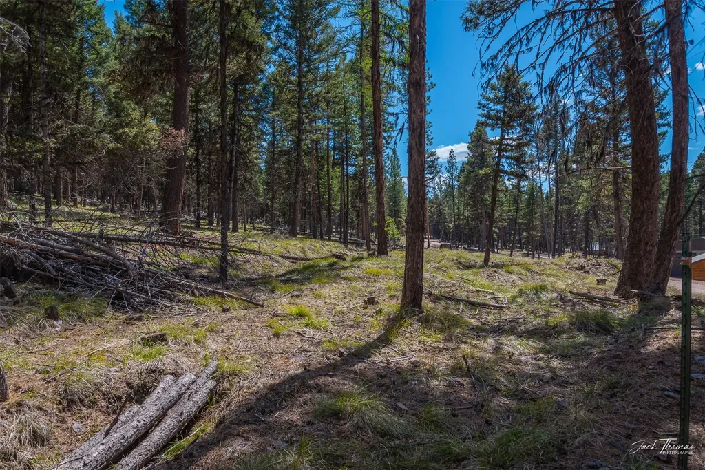 1050 Grandview Drive Seeley Lake MT 59868
