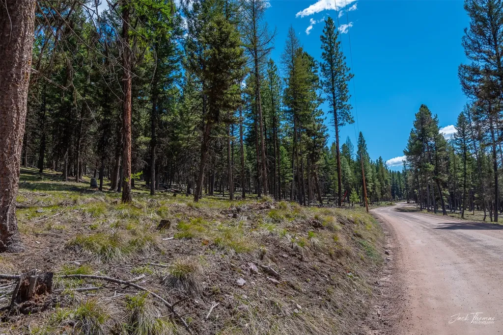 1050 Grandview Drive Seeley Lake MT 59868